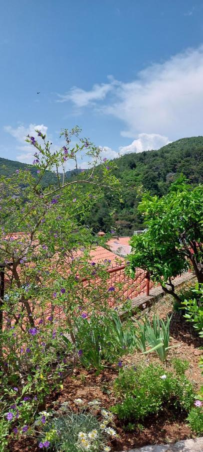Apartment Park Rabac Zewnętrze zdjęcie