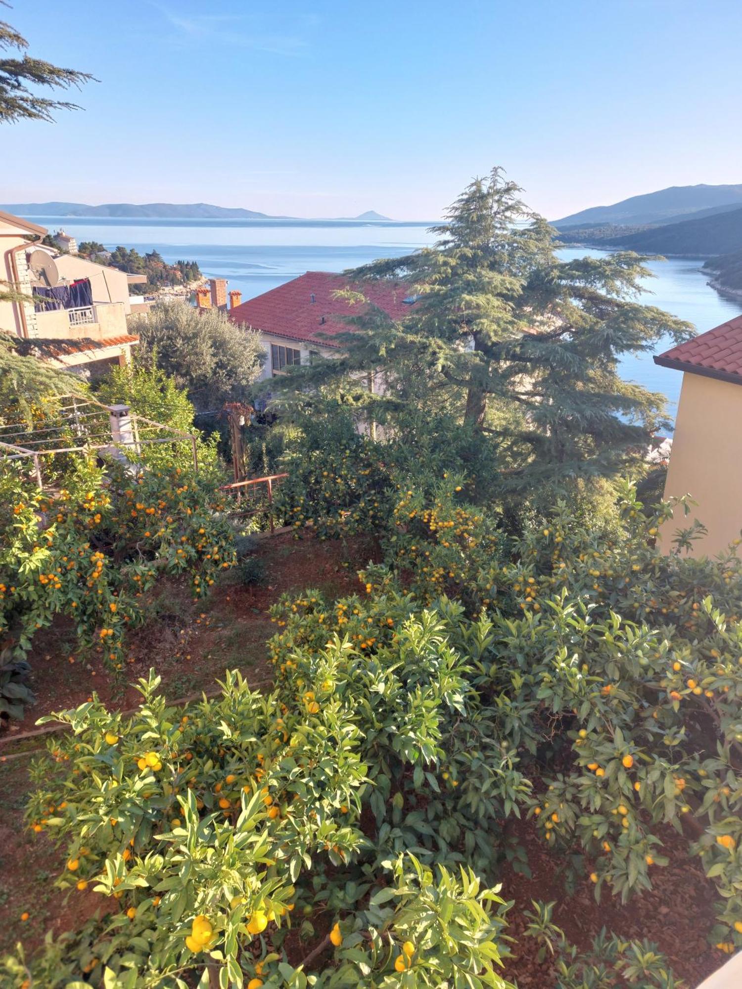 Apartment Park Rabac Zewnętrze zdjęcie