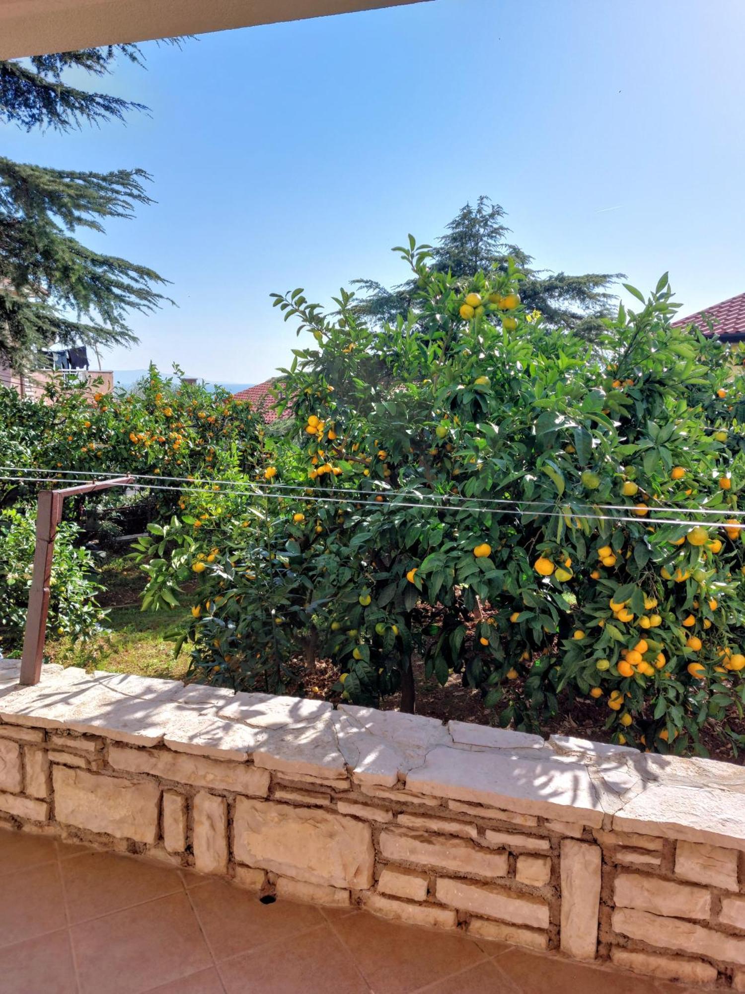 Apartment Park Rabac Zewnętrze zdjęcie